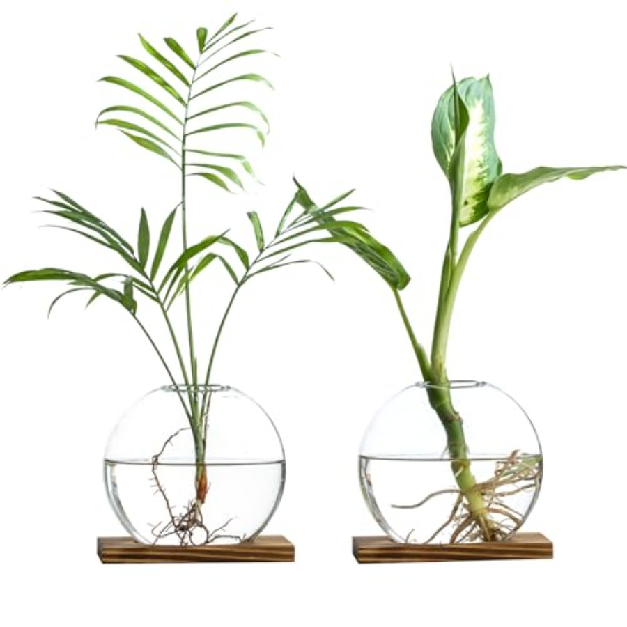 Propagation Station Vase - Glass Planter Propagation Station with Wooden