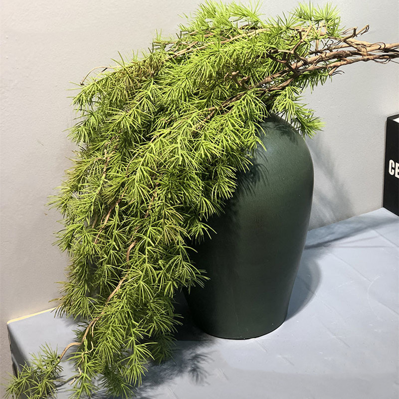 Sphagnum Moss Dry - New Pine Needle Vine Wall Hanging