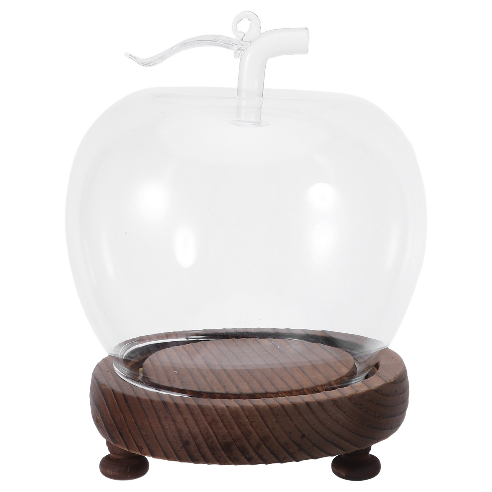 Decorative Glass Dome with Sol – Plastic Dome Clear Bewertung und Preis