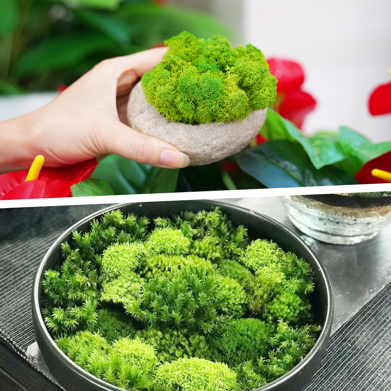 Artificial Green Plants Eterna – Sphagnum Moss Dry Bewertung und Preis