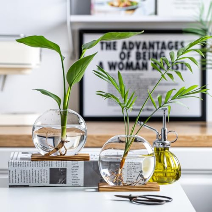 Glass Planter Propagation Stat – Propagation Station Vase Bewertung und Preis