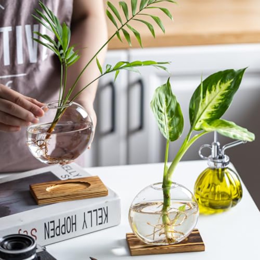 Glass Planter Propagation Stat – Propagation Station Vase Bewertung und Preis