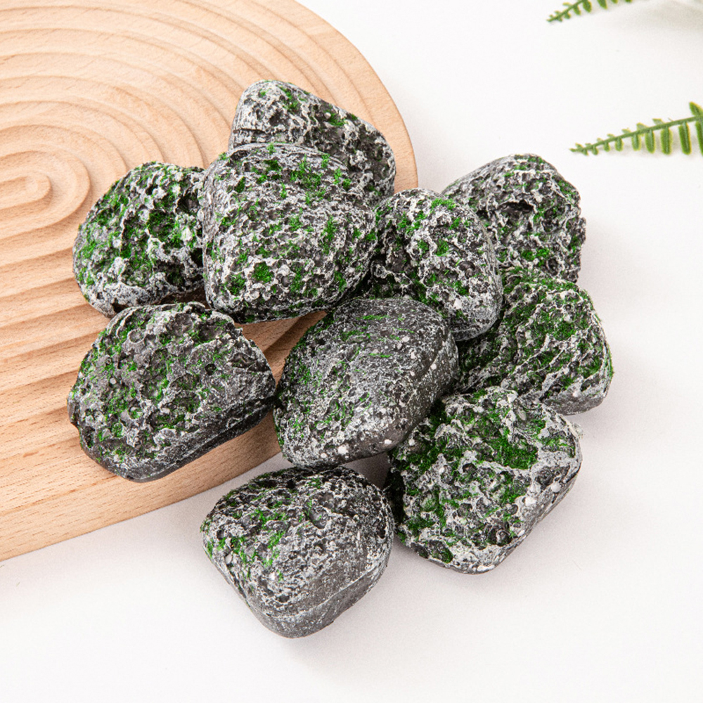 10PCS Mossy Gray Stone Multi-s – Sphagnum Moss Dry Bewertung und Preis
