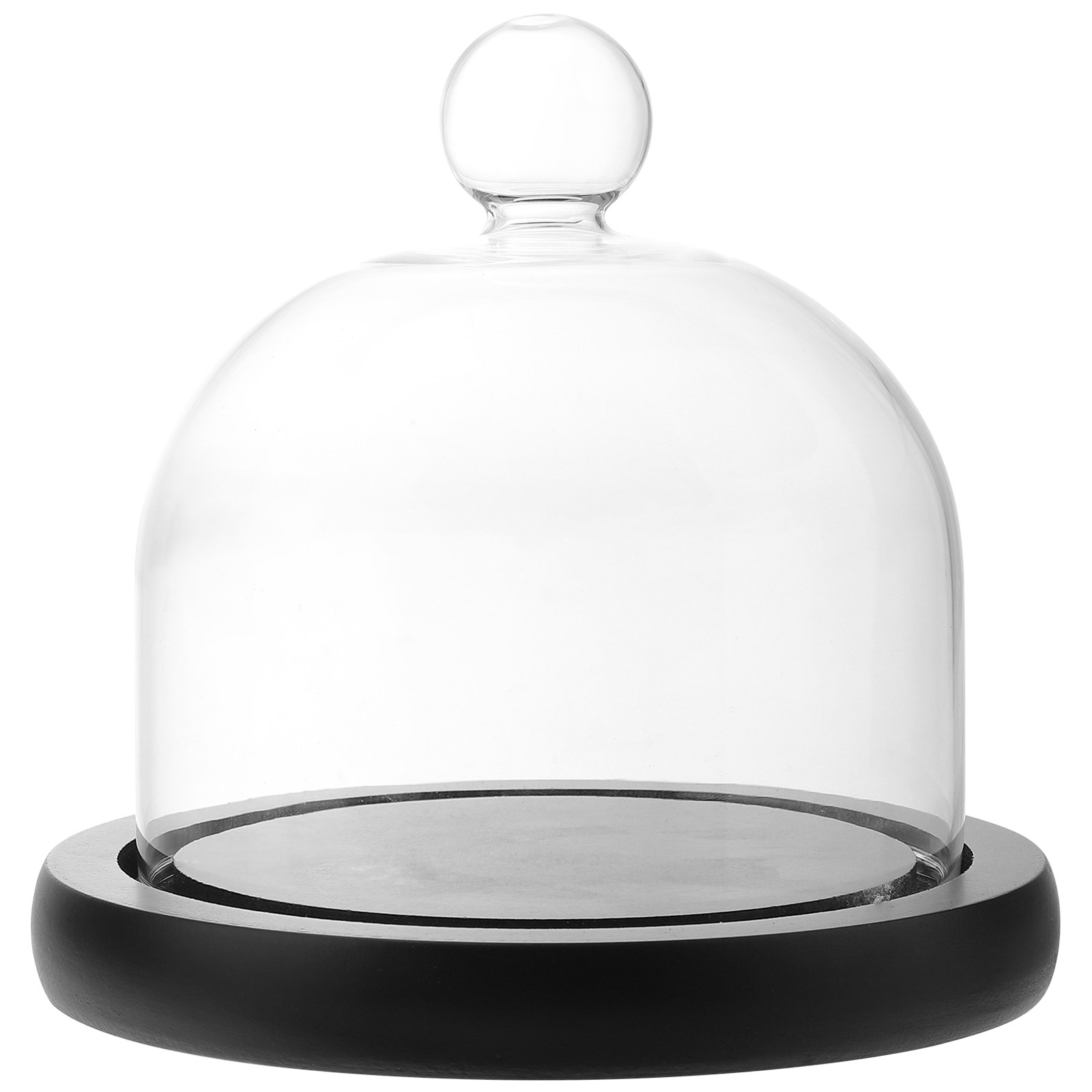 Clear Glass Display Dome for P – Plastic Dome Clear Bewertung und Preis