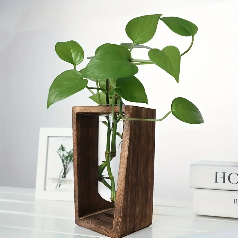 Modern Wood Propagation Vase - – Propagation Station Vase Bewertung und Preis