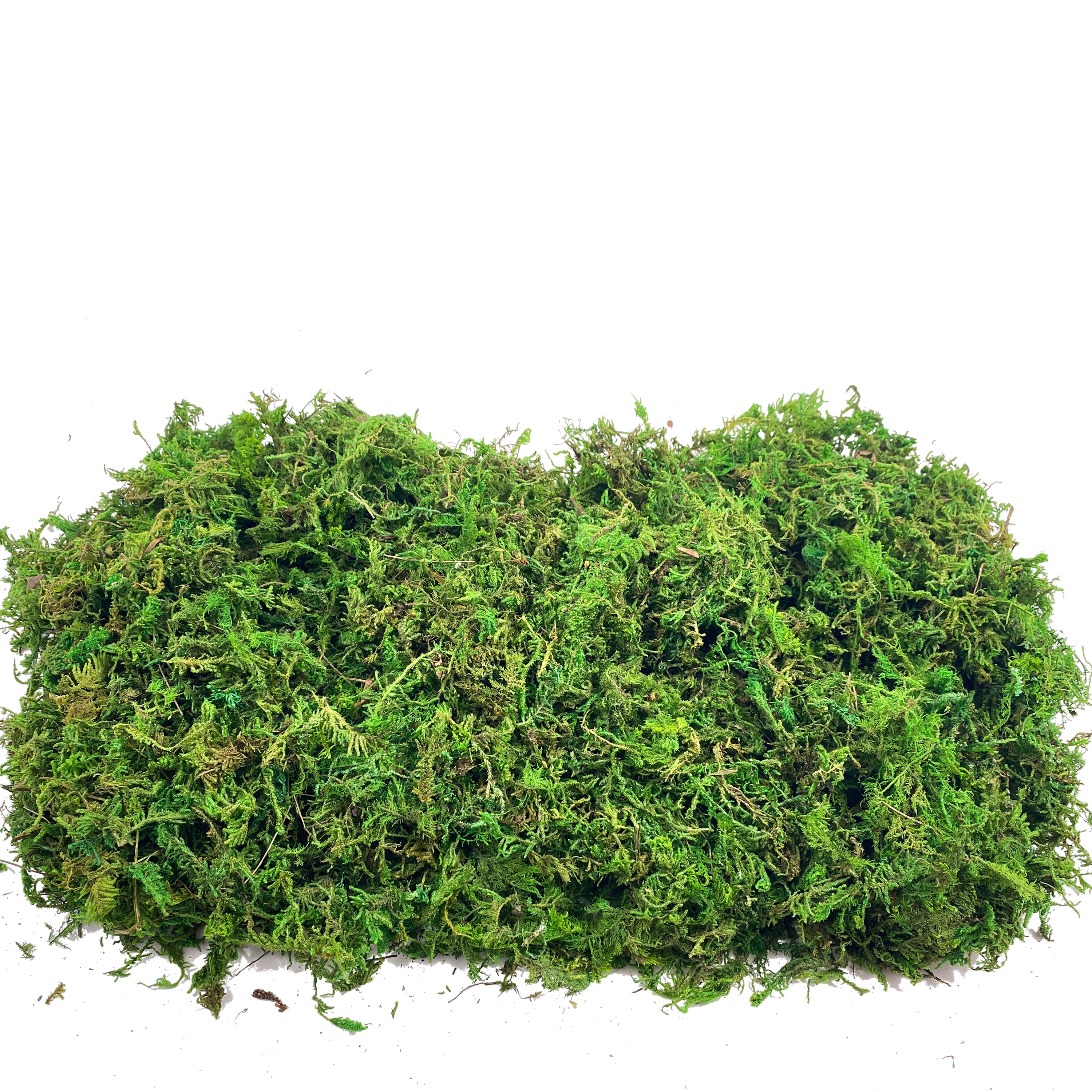 Artificial Fake Moss, Craft Mo – Sphagnum Moss Dry Bewertung und Preis