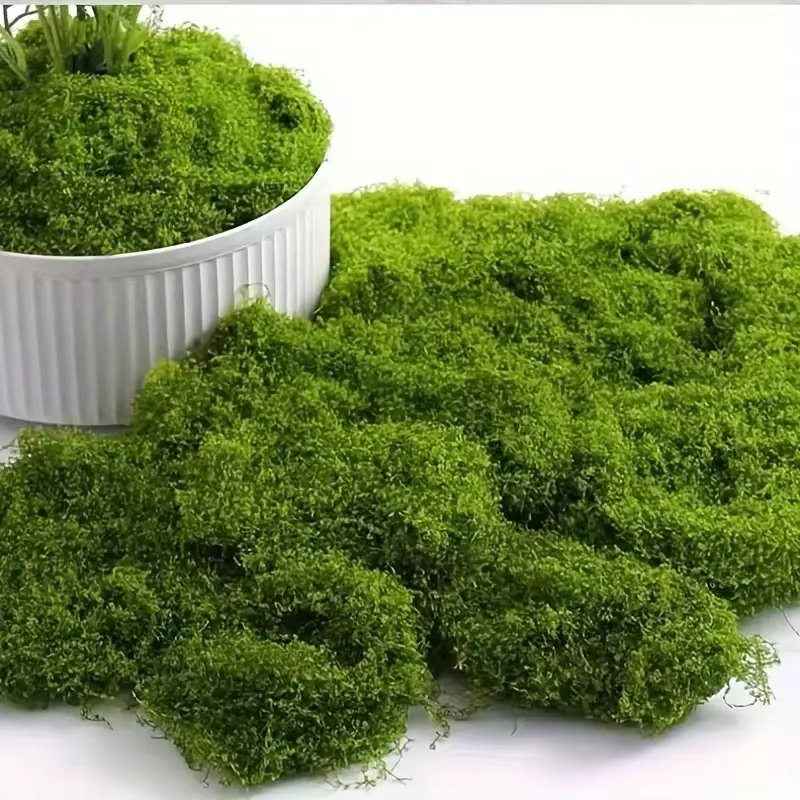 Lifelike Evergreen Artificial  – Sphagnum Moss Dry Bewertung und Preis