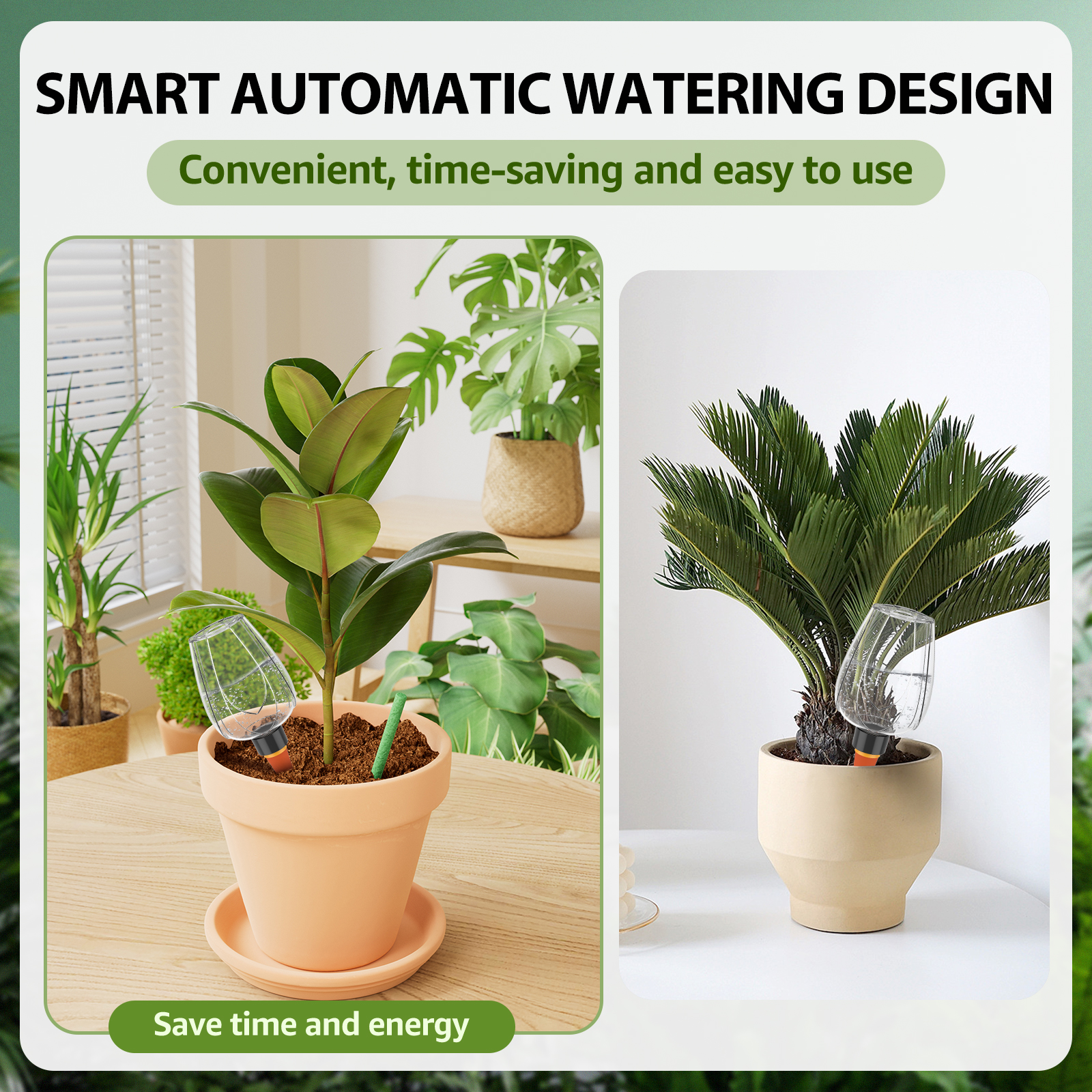 4Pcs Plant Watering Globe Clea – Self Watering Insert Bewertung und Preis