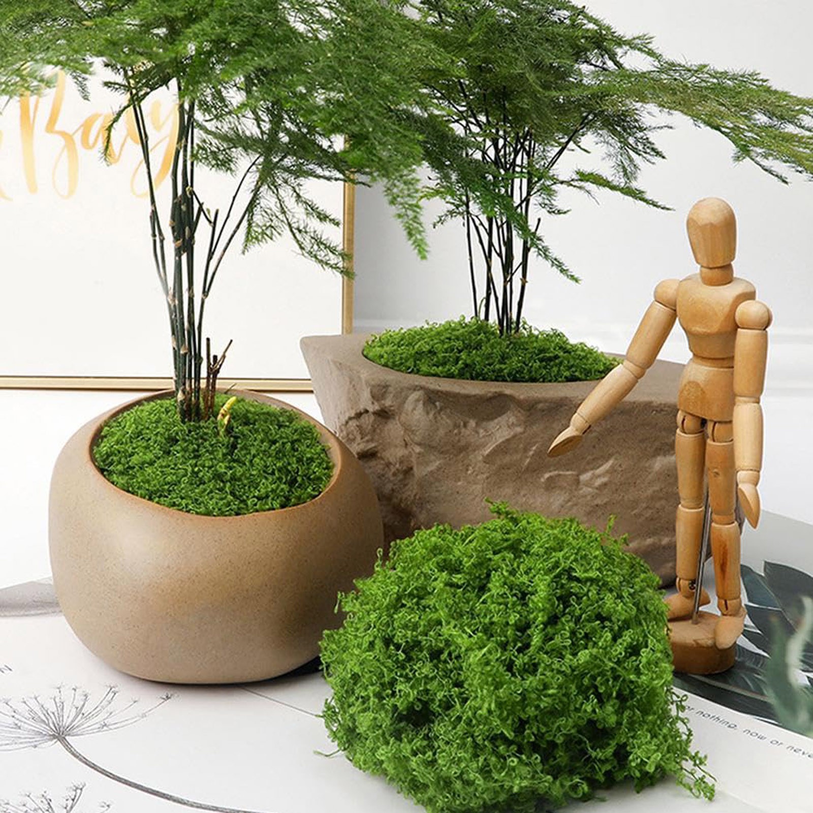 50/200g Artificial Moss For De – Sphagnum Moss Dry Bewertung und Preis