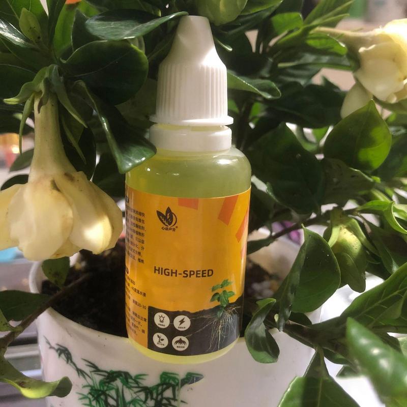 50ml Plant Root Stimulator Liq – Root Stimulator Liquid Bewertung und Preis