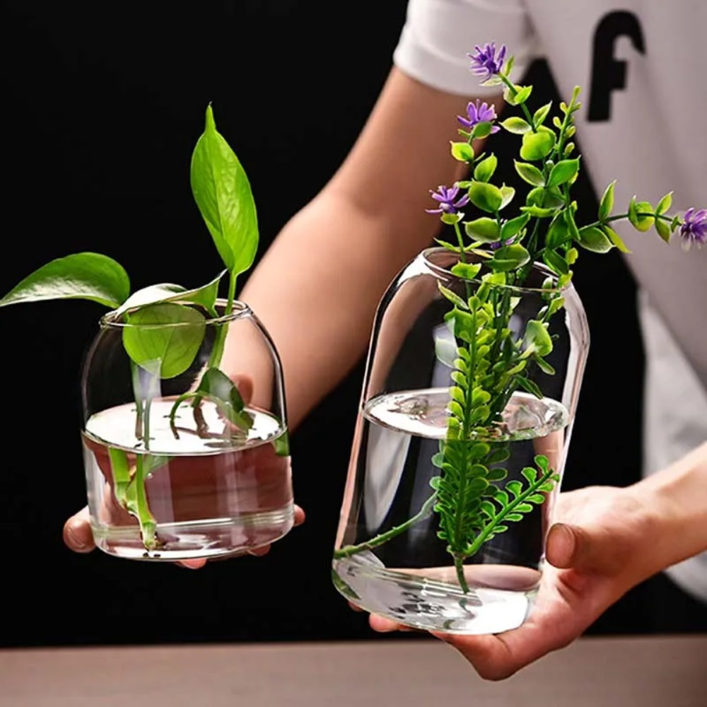 Creative Hydroponic Plant Glas – Propagation Station Vase Bewertung und Preis