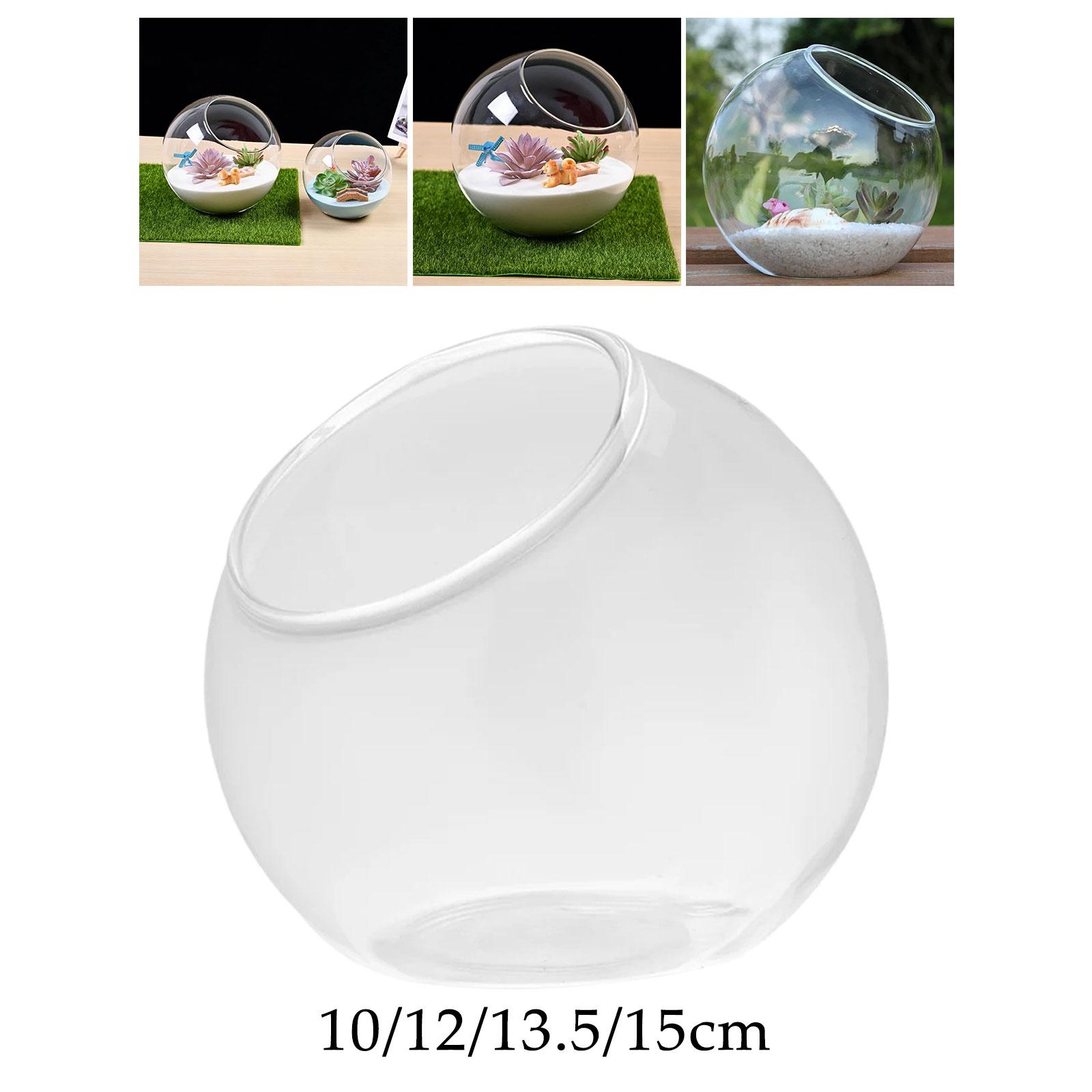 Terrarium Glass Vase Unique Ce – Propagation Station Vase Bewertung und Preis