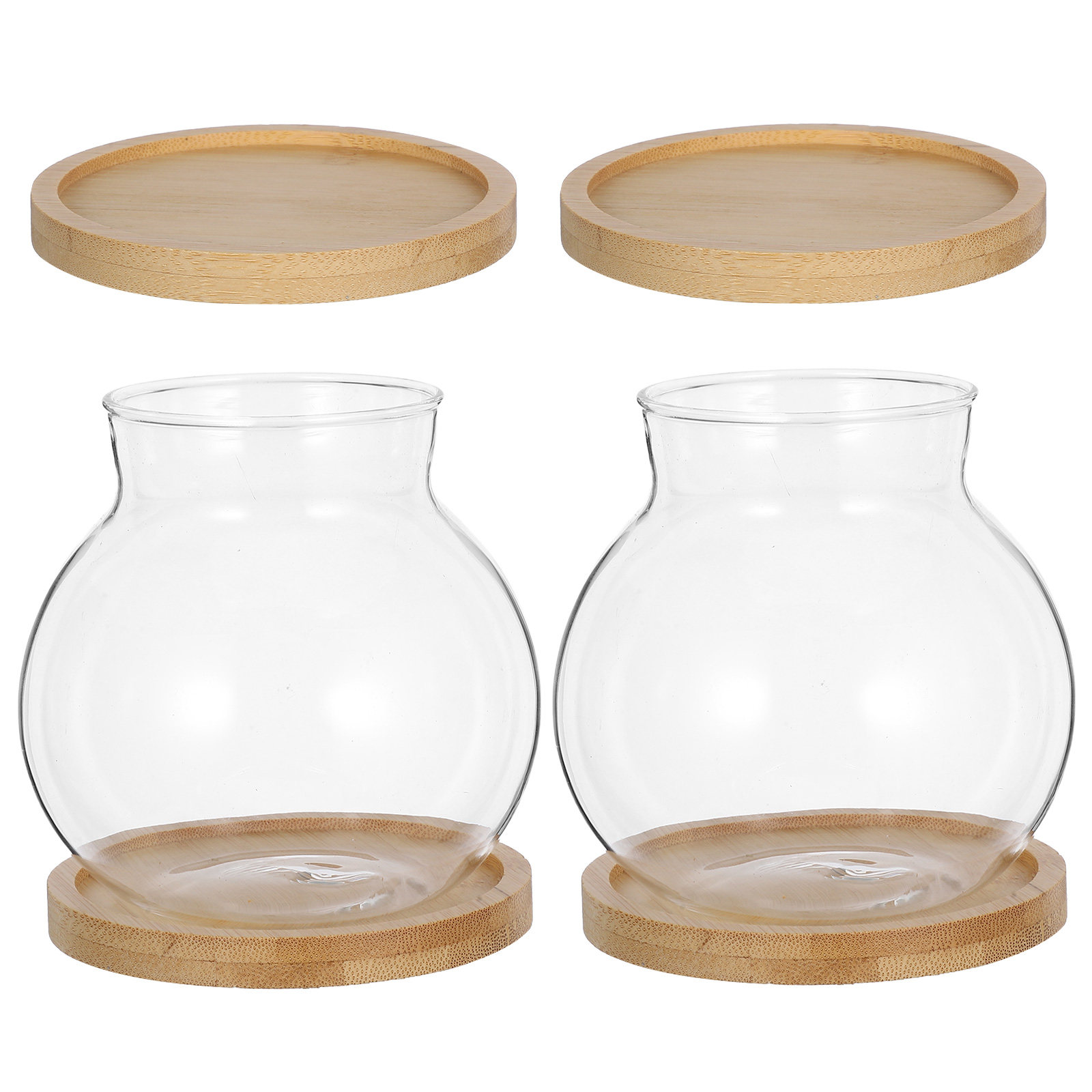2Set Hydroponic Vase Glass Pla – Propagation Station Vase Bewertung und Preis