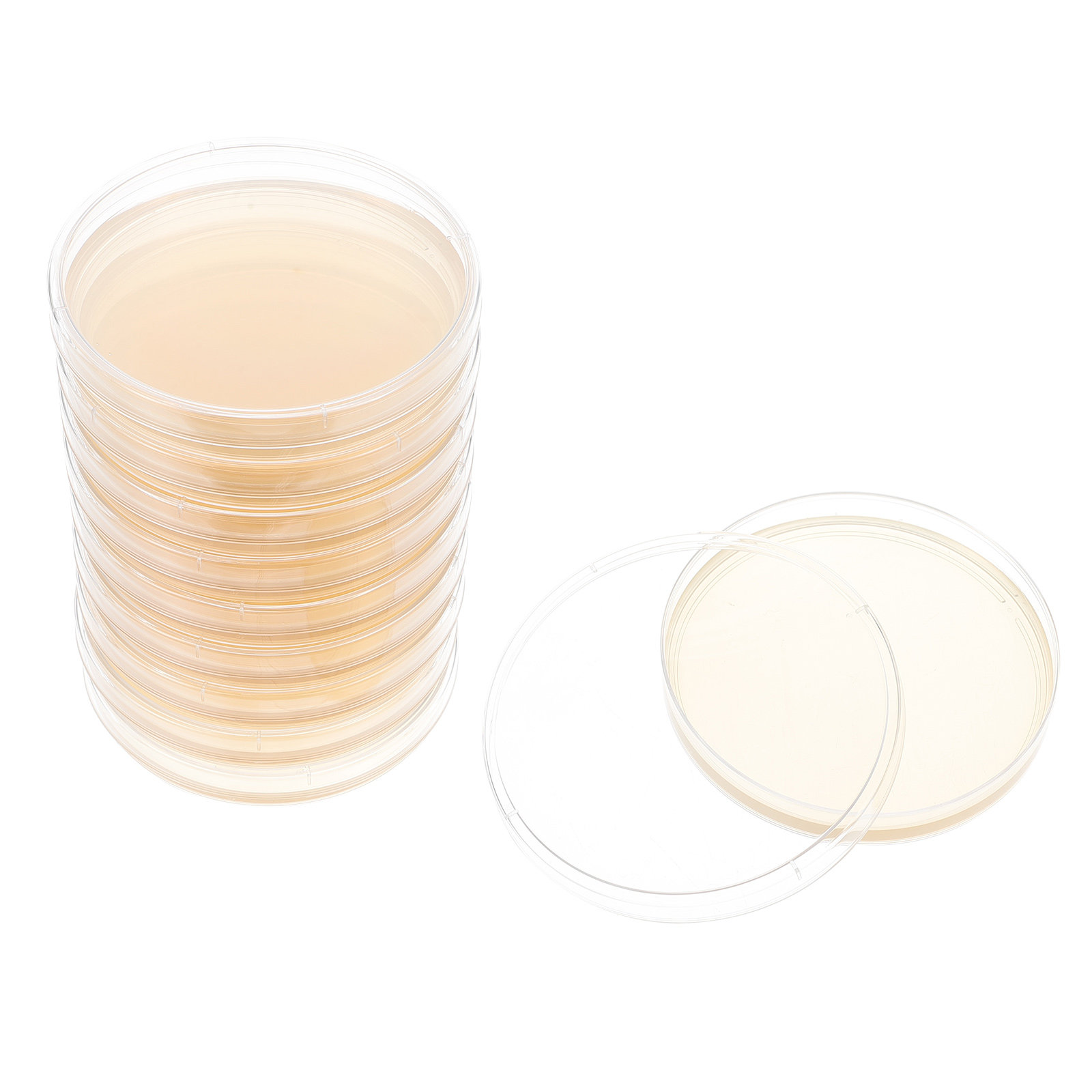 10pcs Nutrient Agar Plates Pre – Agar Tissue Culture Bewertung und Preis