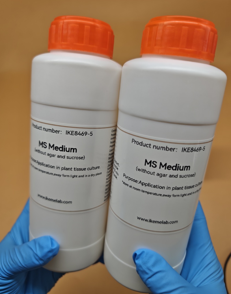 IKEME Lab MS Medium 250g Witho – Agar Tissue Culture Bewertung und Preis