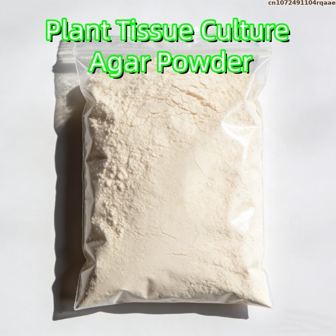 Premium Plant Tissue Culture A – Agar Tissue Culture Bewertung und Preis