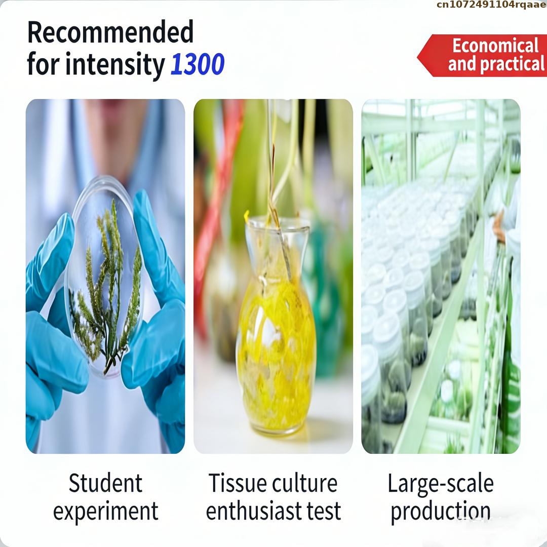 Premium Plant Tissue Culture A – Agar Tissue Culture Bewertung und Preis