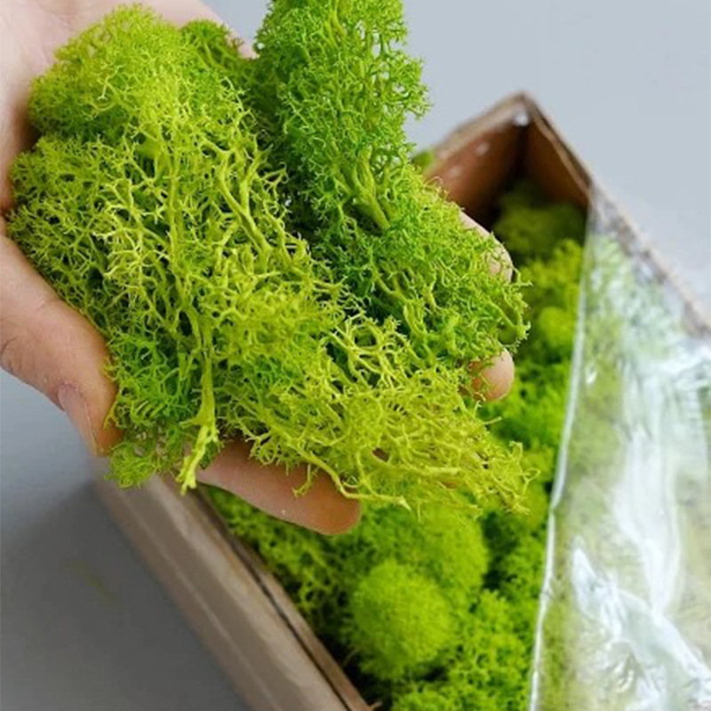 Artificial Green Plants Mini L – Sphagnum Moss Dry Bewertung und Preis