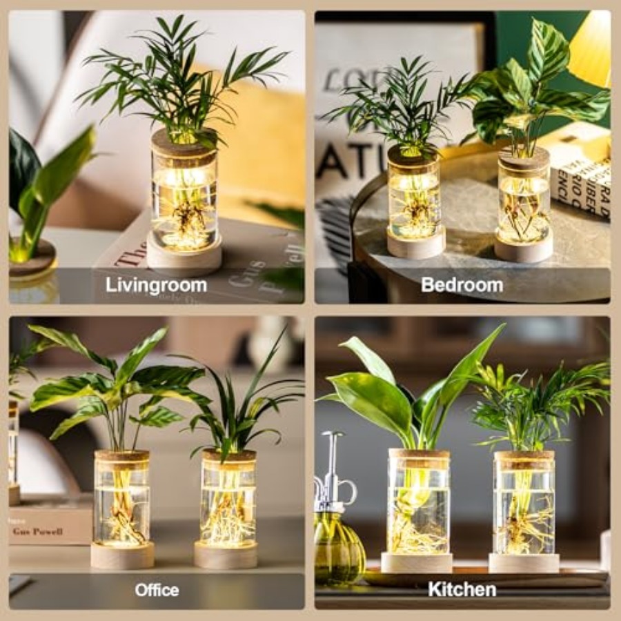 10Pcs Lightweight Reusable Gla – Misting Bottle Fine Bewertung und Preis