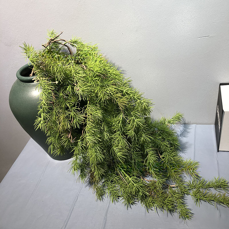 New Pine Needle Vine Wall Hang – Sphagnum Moss Dry Bewertung und Preis