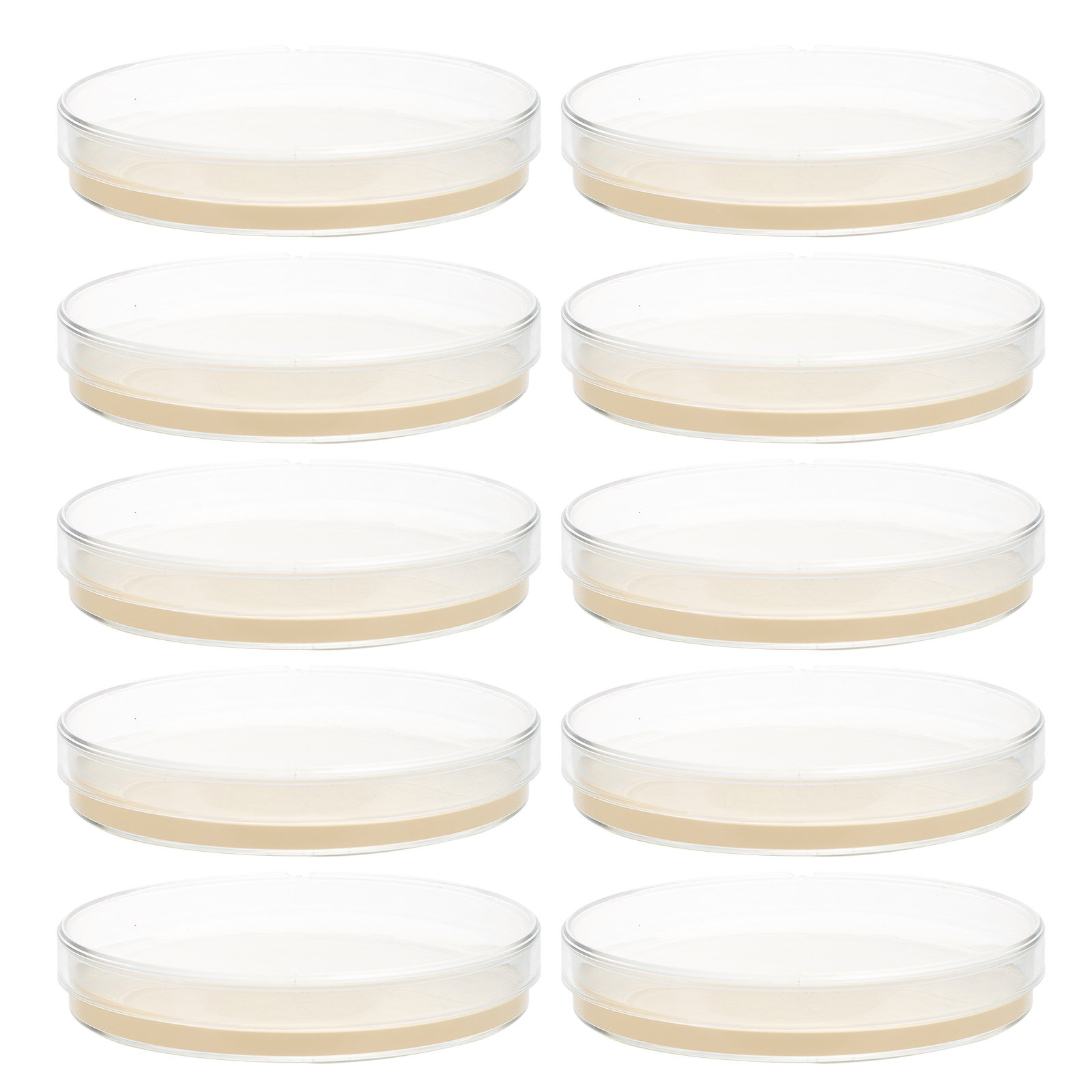 10pcs Nutrient Agar Plates Pre – Agar Tissue Culture Bewertung und Preis