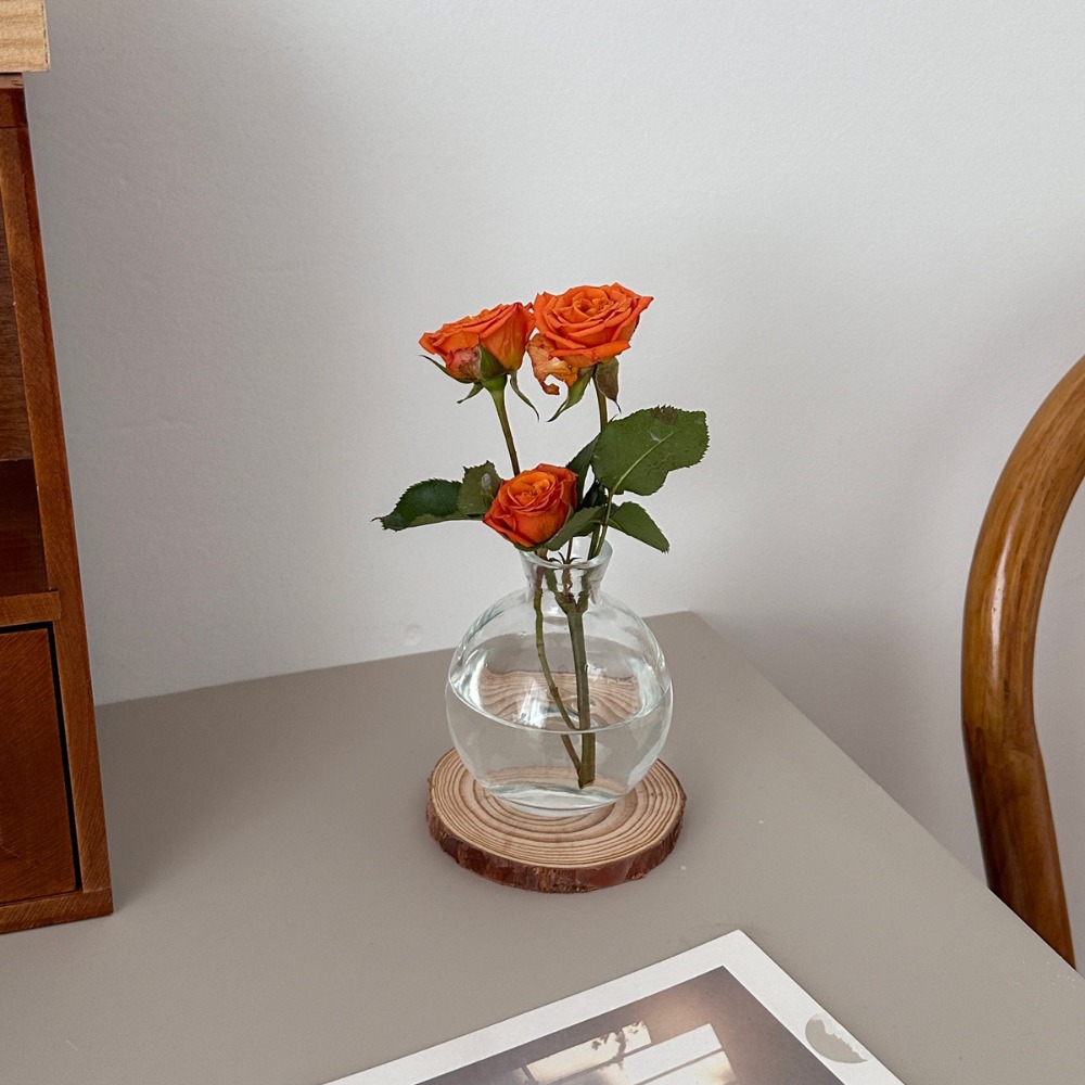 Creative Transparent Mini Flow – Propagation Station Vase Bewertung und Preis