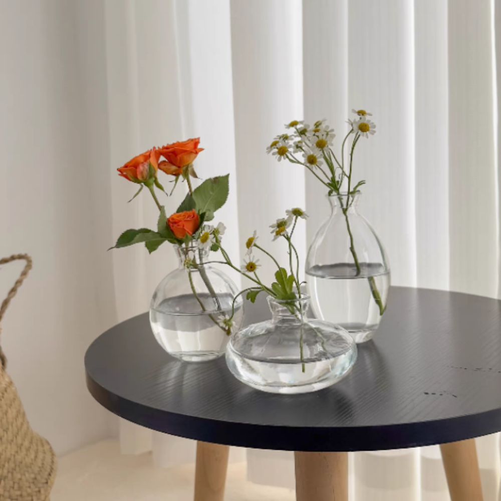 Creative Transparent Mini Flow – Propagation Station Vase Bewertung und Preis