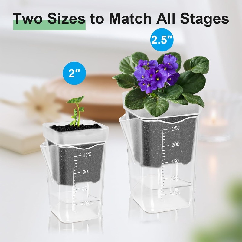Transparent Flower Plant Pot S – Self Watering Insert Bewertung und Preis