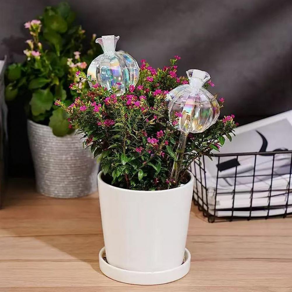 24cm Cactus Self Watering Bulb – Self Watering Insert Bewertung und Preis