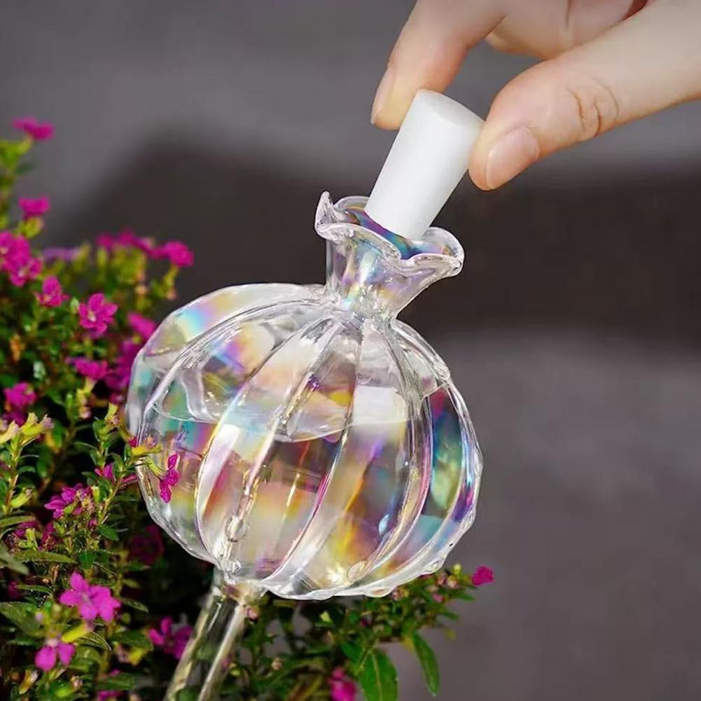 24cm Cactus Self Watering Bulb – Self Watering Insert Bewertung und Preis