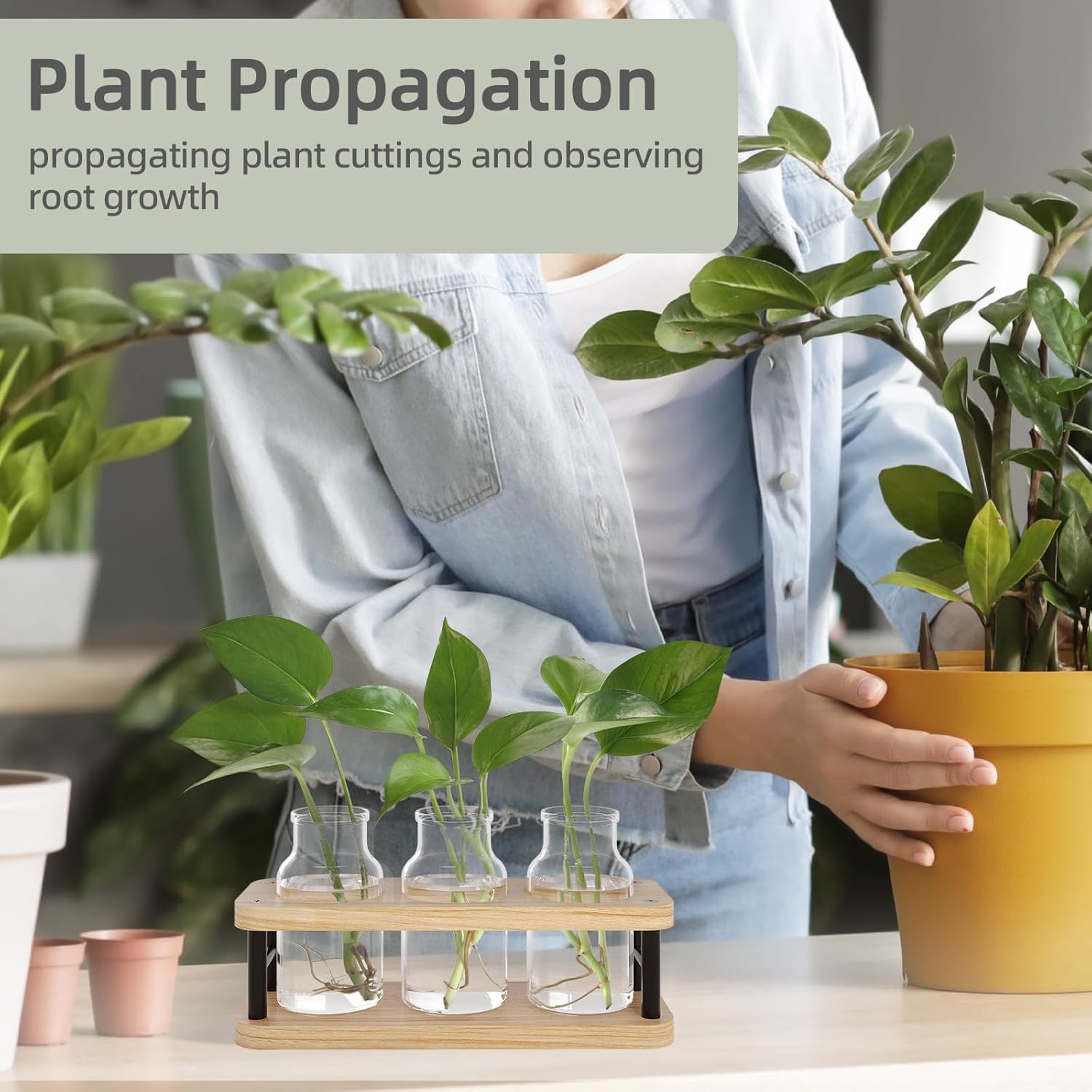 Propagation Station with Woode – Propagation Station Vase Bewertung und Preis