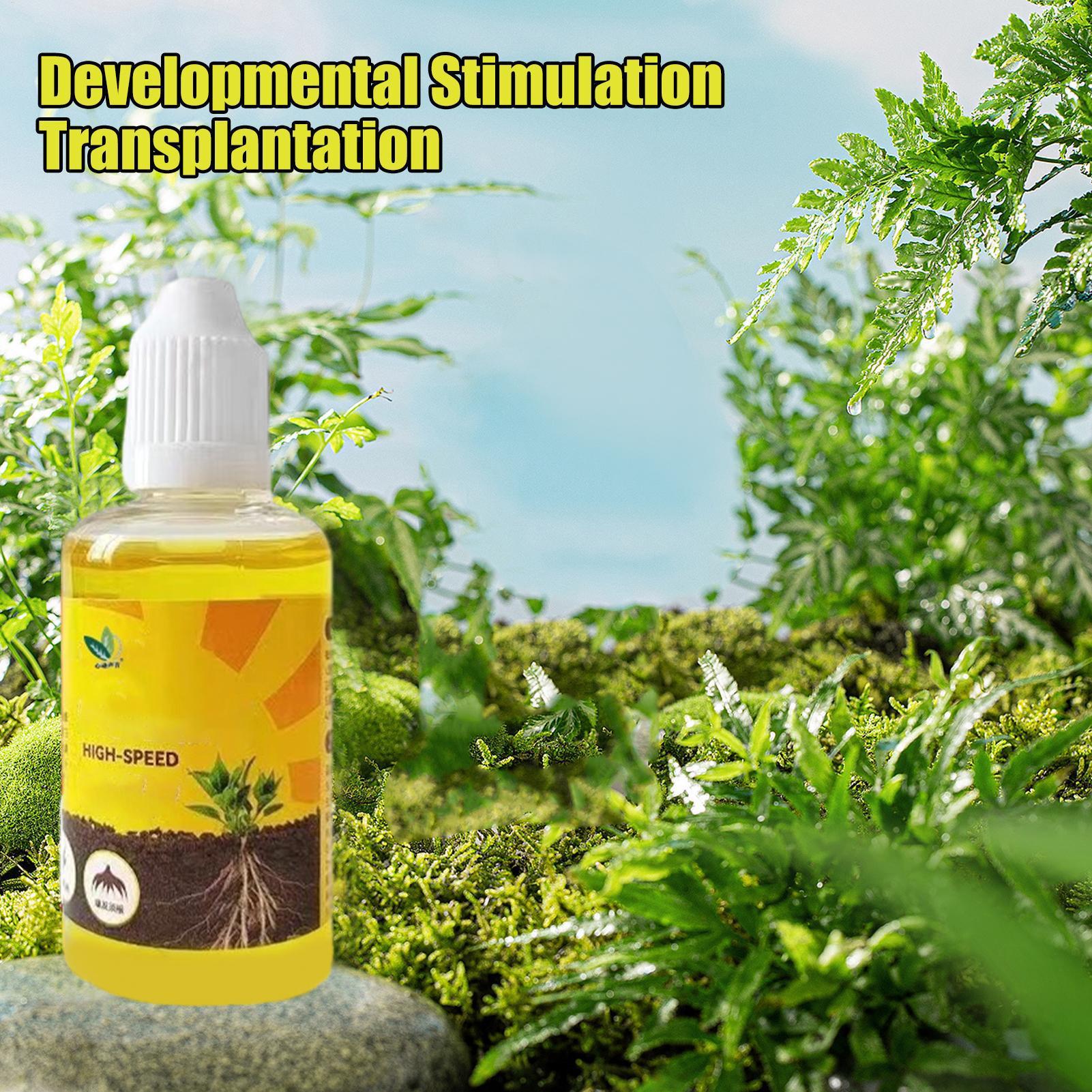 50ml Plant Rooting Stimulator  – Root Stimulator Liquid Bewertung und Preis