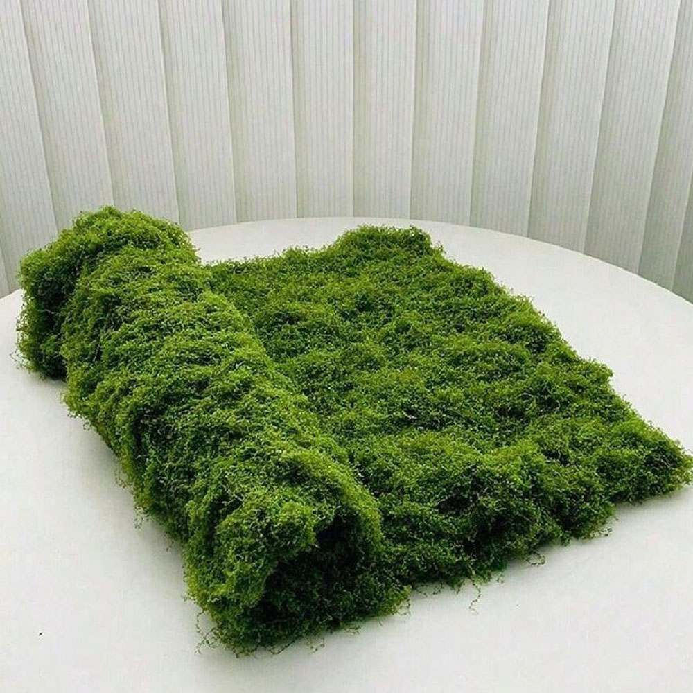 1*1m Fake Moss DIY Crafts Gras – Sphagnum Moss Dry Bewertung und Preis