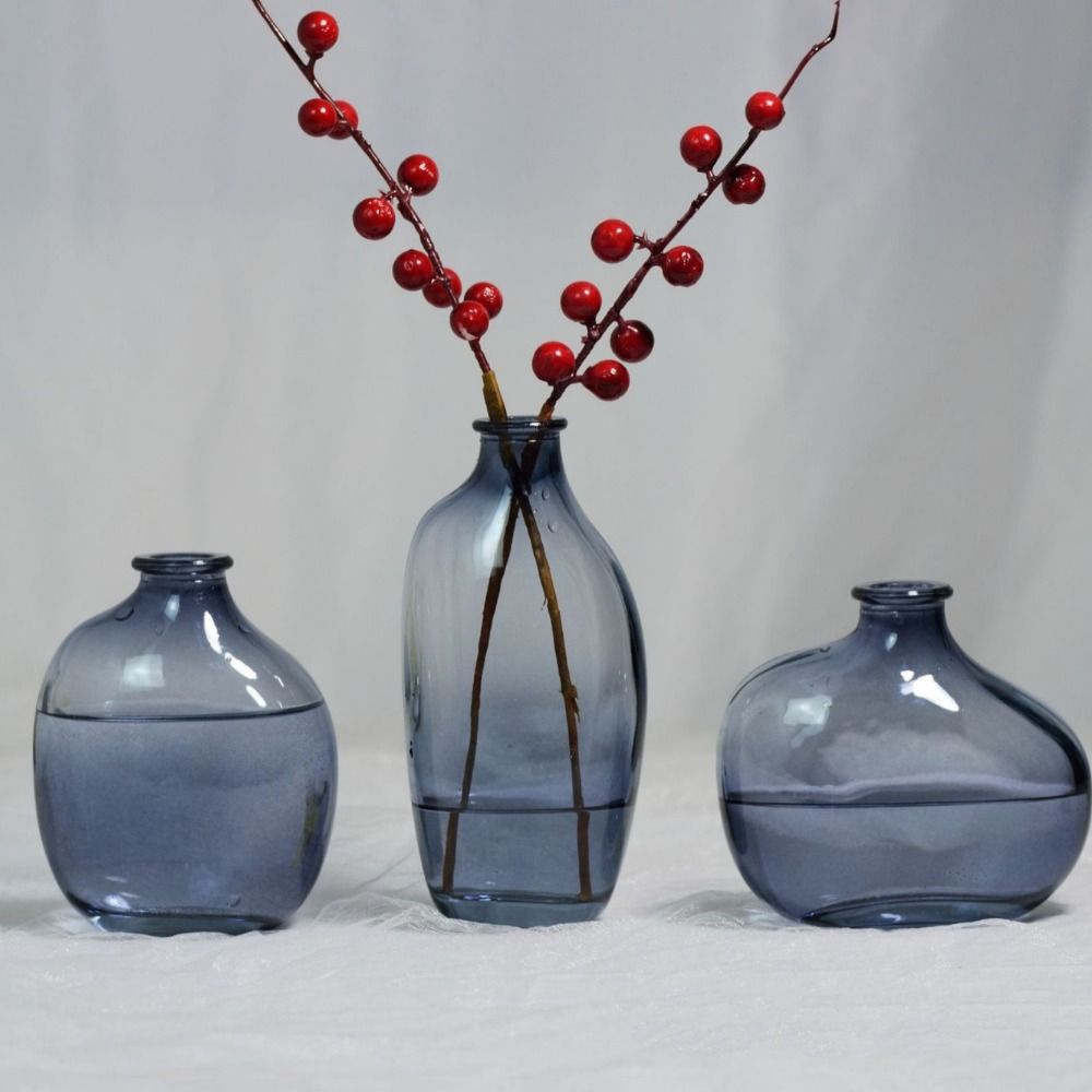 Fashion Retro Flower Vase Glas – Propagation Station Vase Bewertung und Preis