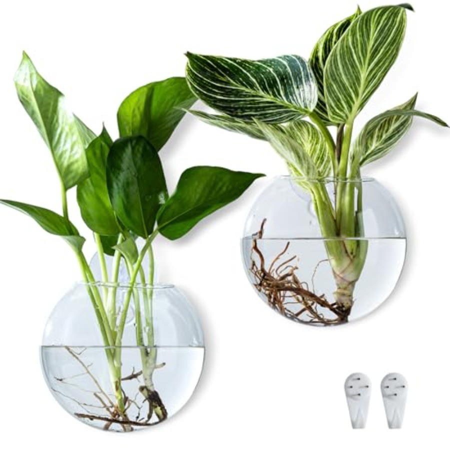 Wall Hanging Planter Propagati – Propagation Station Vase Bewertung und Preis