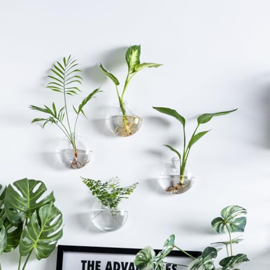 Wall Hanging Planter Propagati – Propagation Station Vase Bewertung und Preis