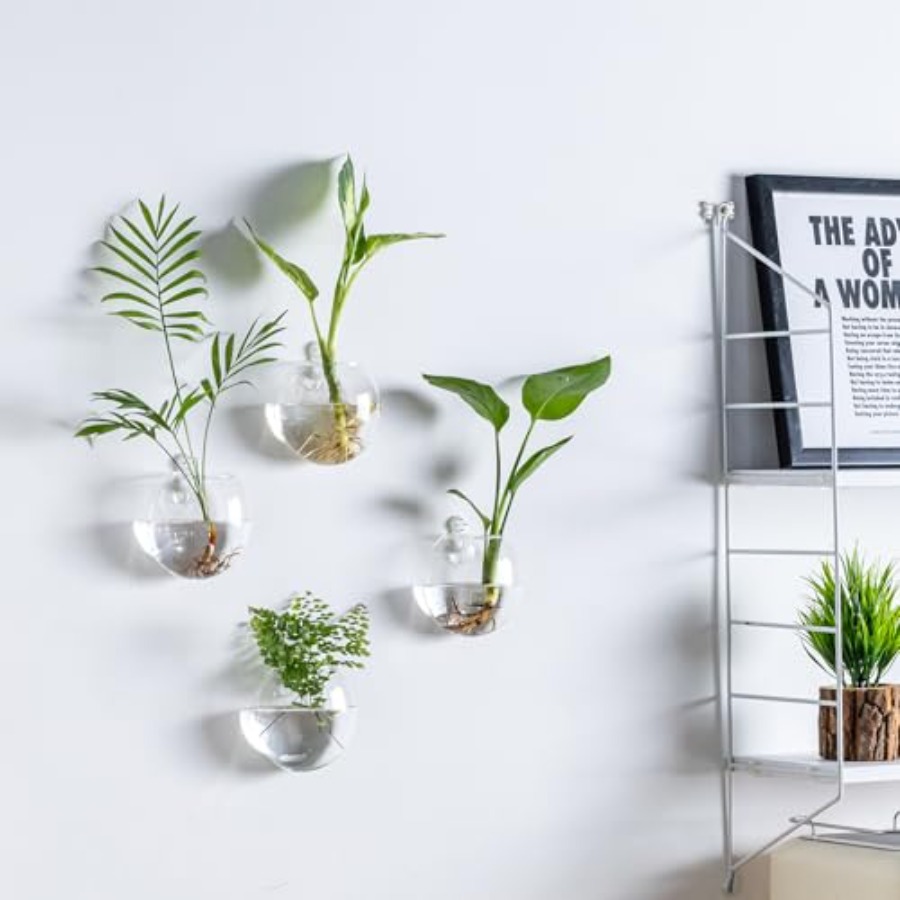 Wall Hanging Planter Propagati – Propagation Station Vase Bewertung und Preis
