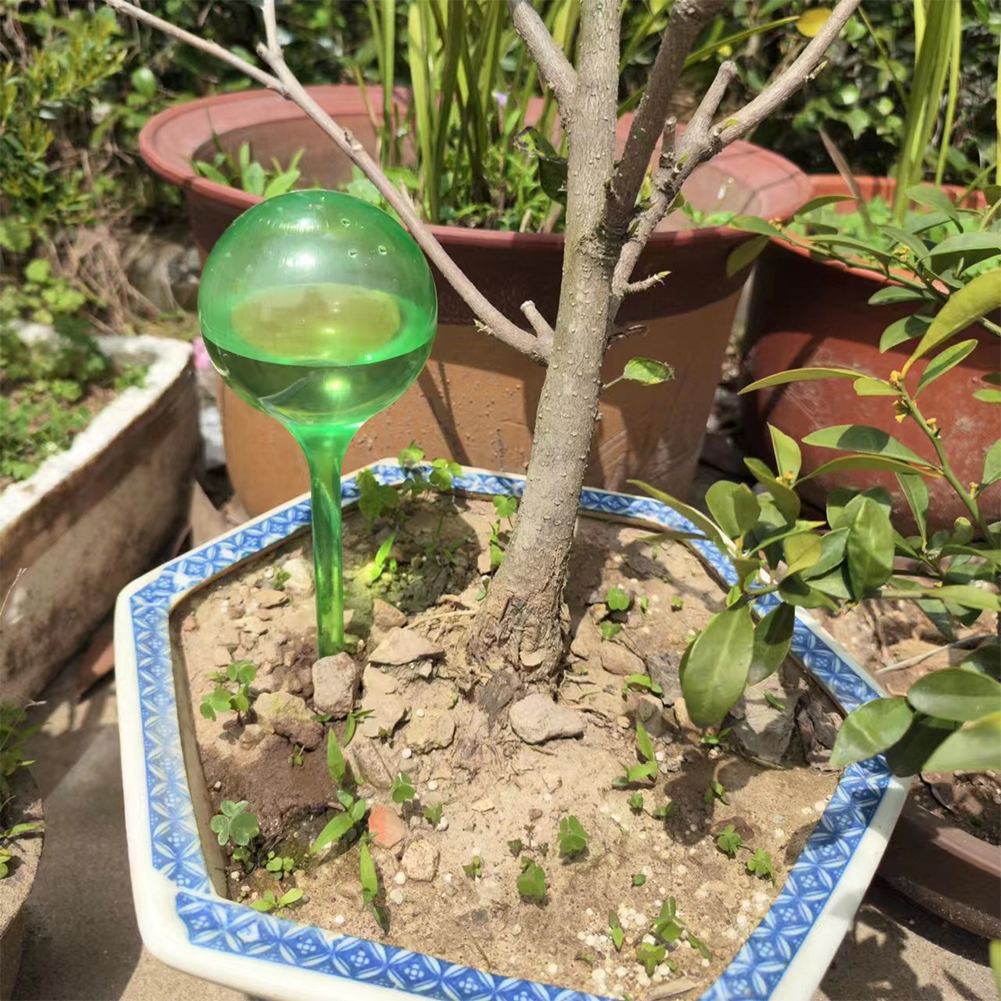 Automatic Plant Watering Bulbs – Self Watering Insert Bewertung und Preis