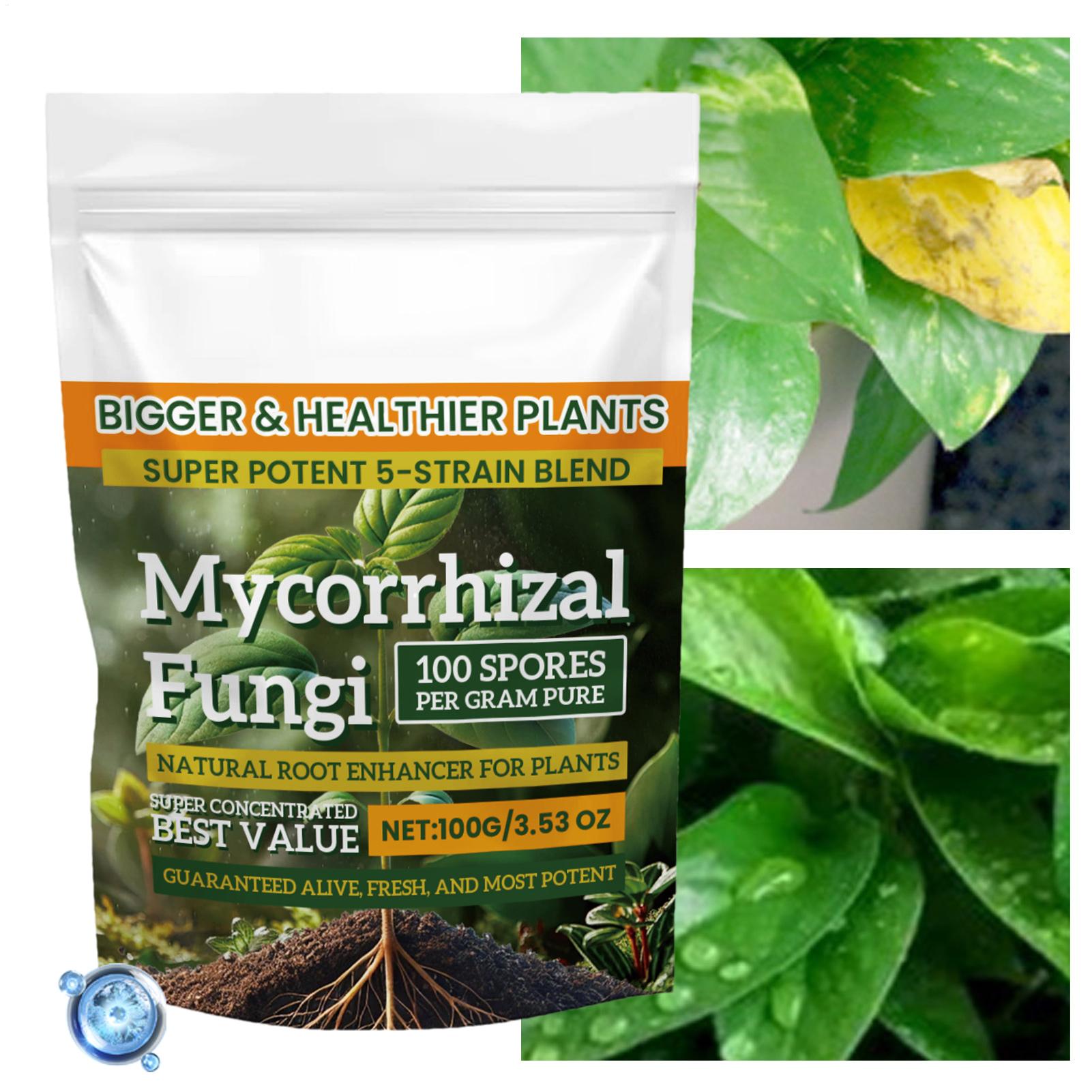 Plant Growth Enhancer Powder 1 – Rooting Hormone Powder Bewertung und Preis
