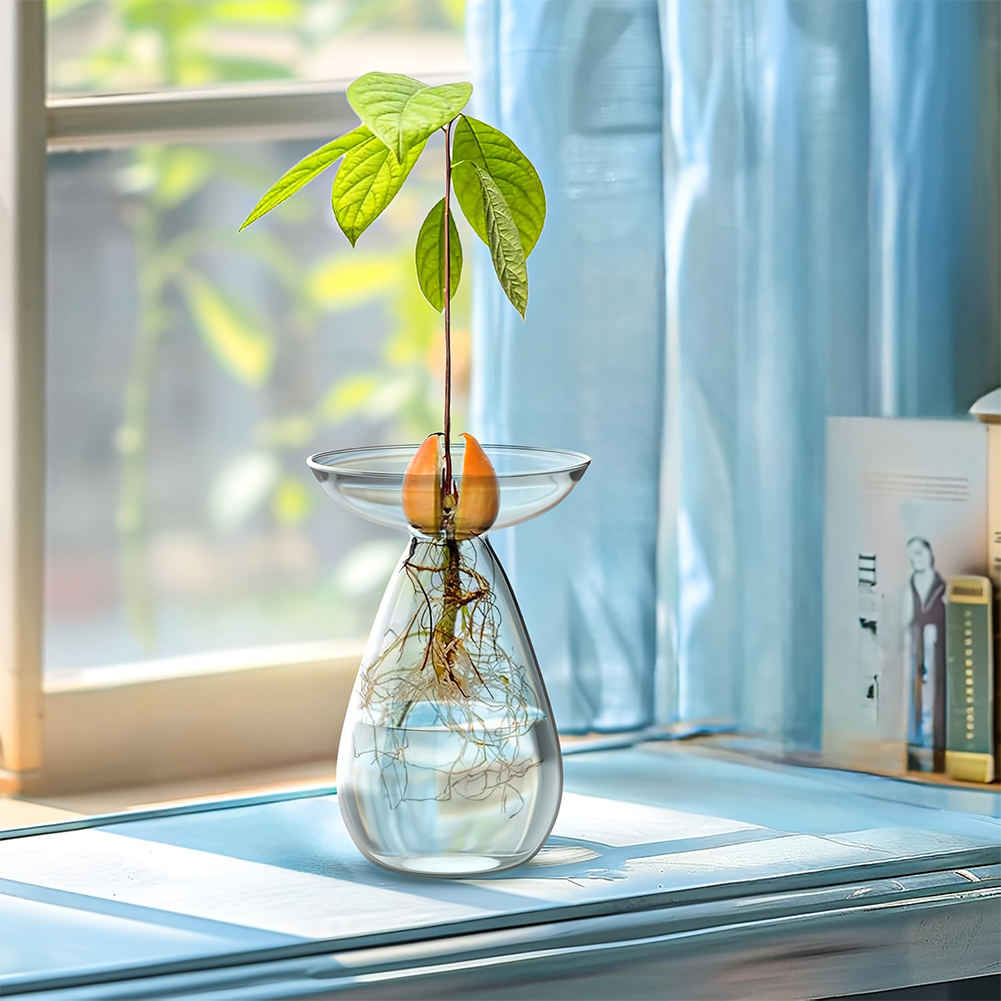 Avocado Seed Starter Vase Tran – Propagation Station Vase Bewertung und Preis