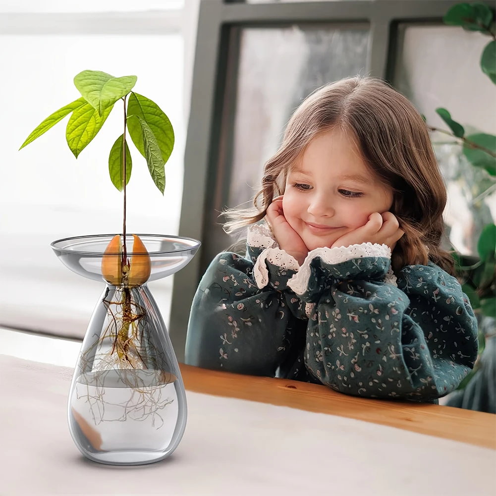 Avocado Seed Starter Vase Tran – Propagation Station Vase Bewertung und Preis