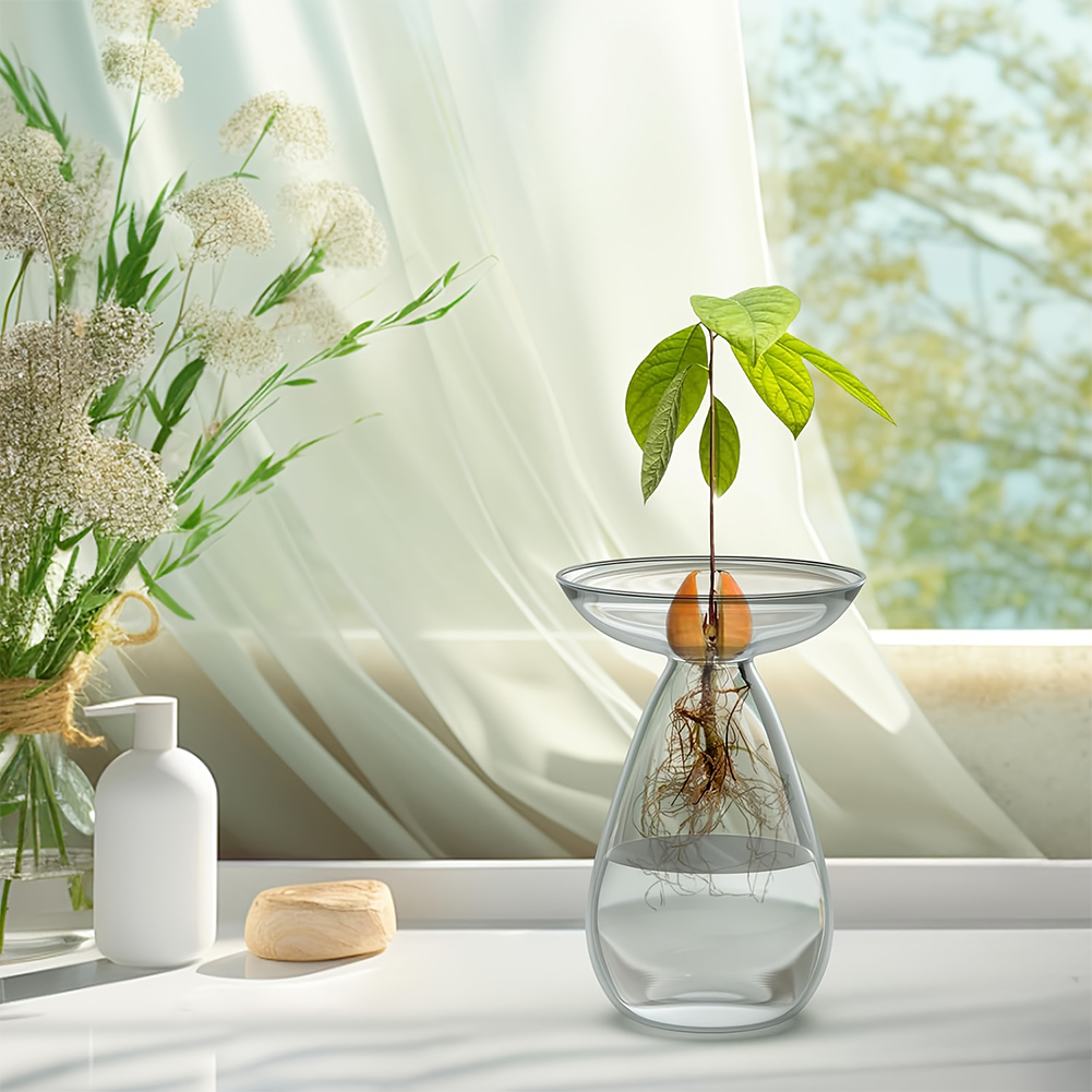 Avocado Seed Starter Vase Tran – Propagation Station Vase Bewertung und Preis