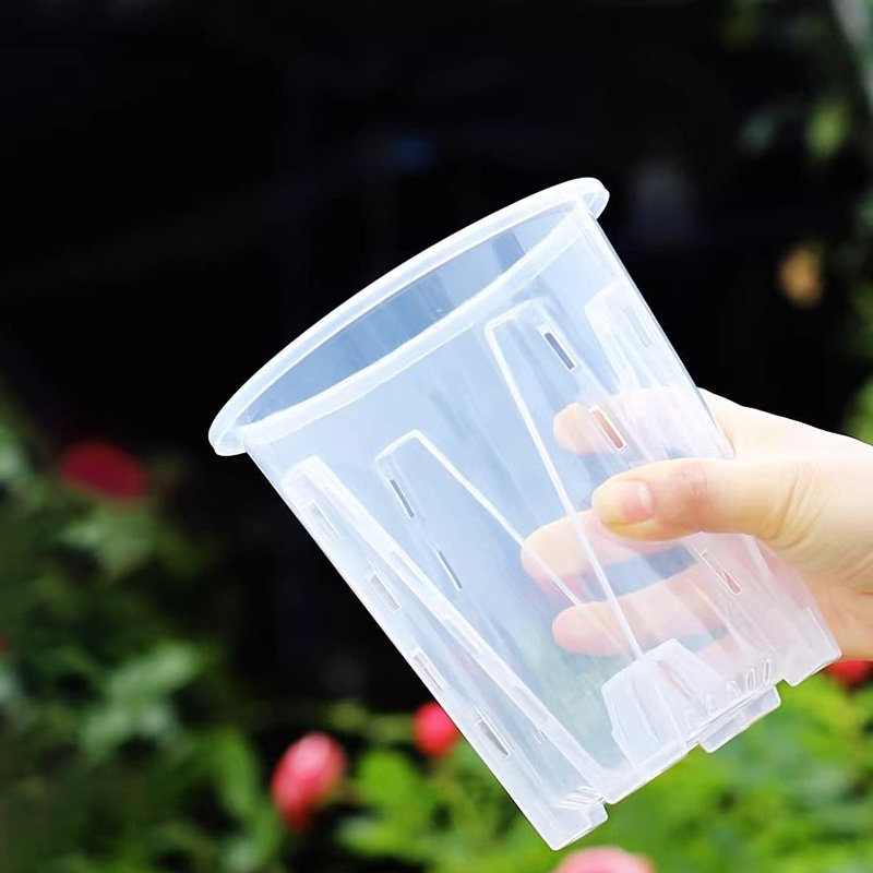 12cm for orchid Plant grow  Po – Self Watering Insert Bewertung und Preis