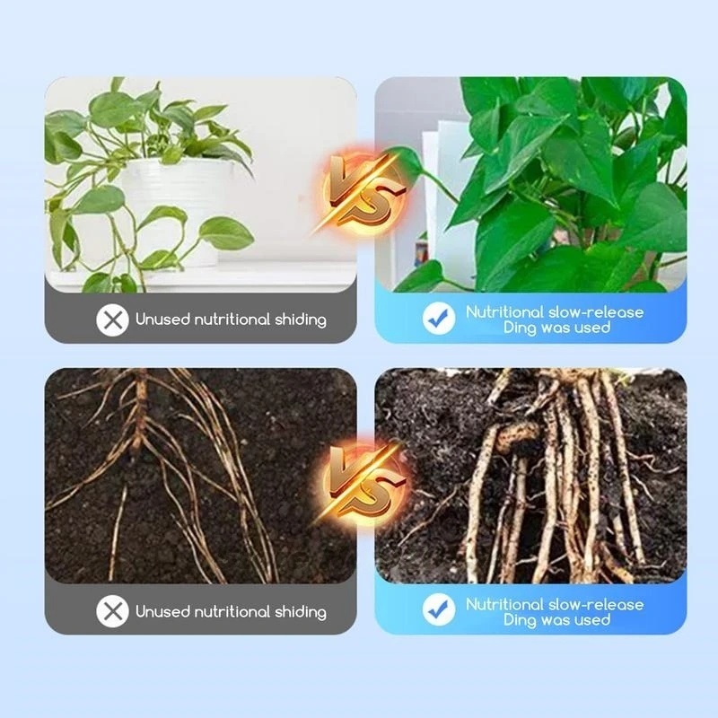 500g High-strength Rooting Hor – Rooting Hormone Powder Bewertung und Preis