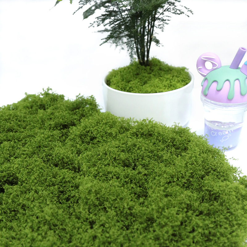 【P】50g Fake Moss DIY Crafts Gr – Sphagnum Moss Dry Bewertung und Preis