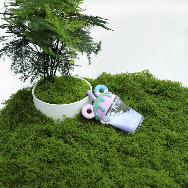 【P】50g Fake Moss DIY Crafts Gr – Sphagnum Moss Dry Bewertung und Preis