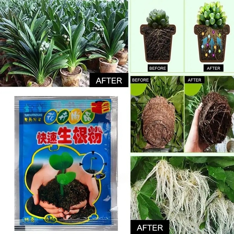5pcs Fast Rooting Powder Plant – Rooting Hormone Powder Bewertung und Preis