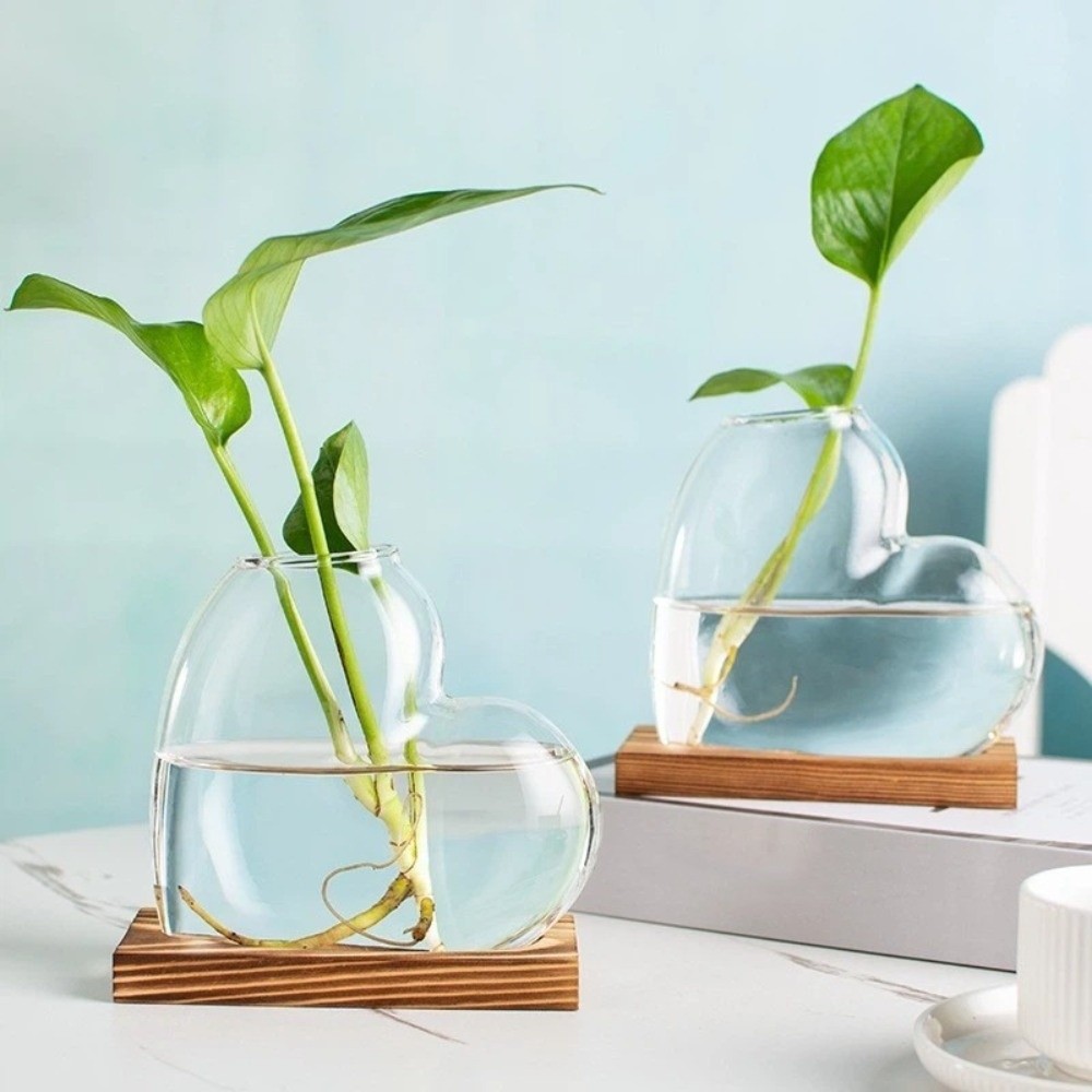 Transparent Hydroponic Glass V – Propagation Station Vase Bewertung und Preis
