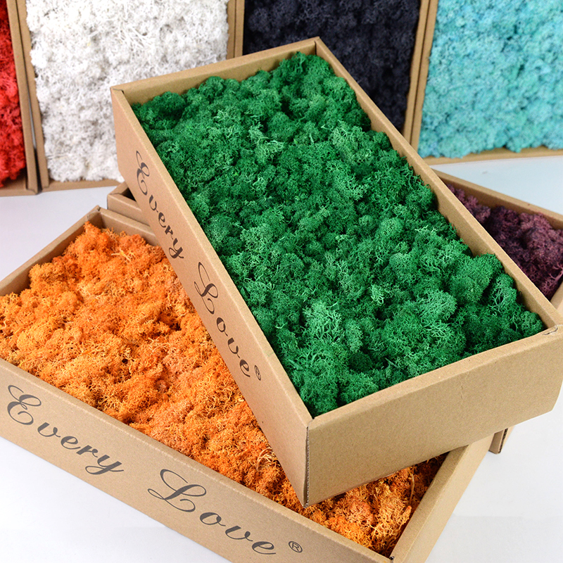 40/20g Artificial Moss Grass G – Sphagnum Moss Dry Bewertung und Preis