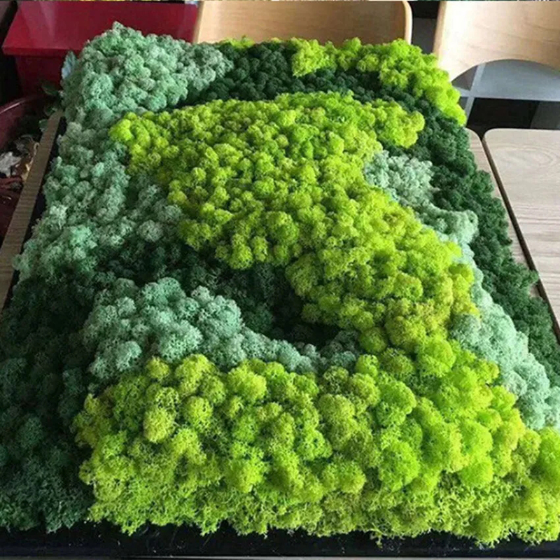 40/20g Artificial Moss Grass G – Sphagnum Moss Dry Bewertung und Preis